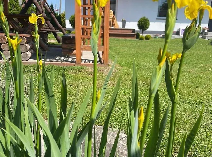 بيت للعطل Kama *